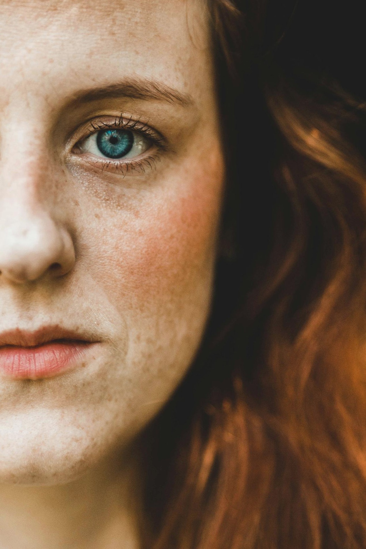 Directeur de la publication